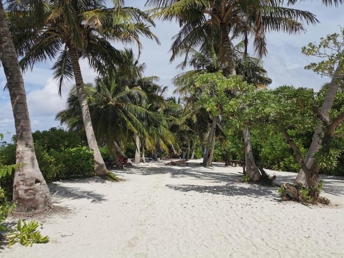 Hotel Aqua Oasis Thoddoo-Atoll Exterior foto