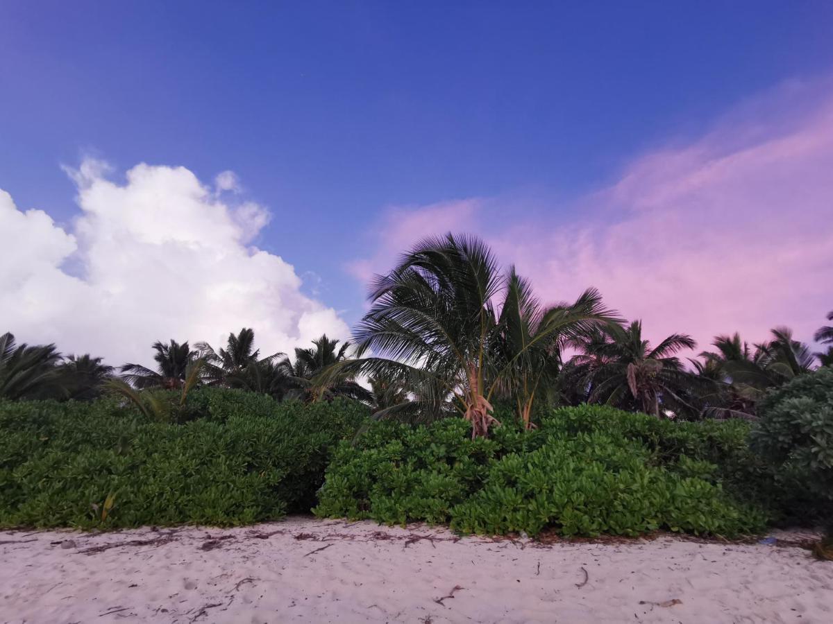 Hotel Aqua Oasis Thoddoo-Atoll Exterior foto