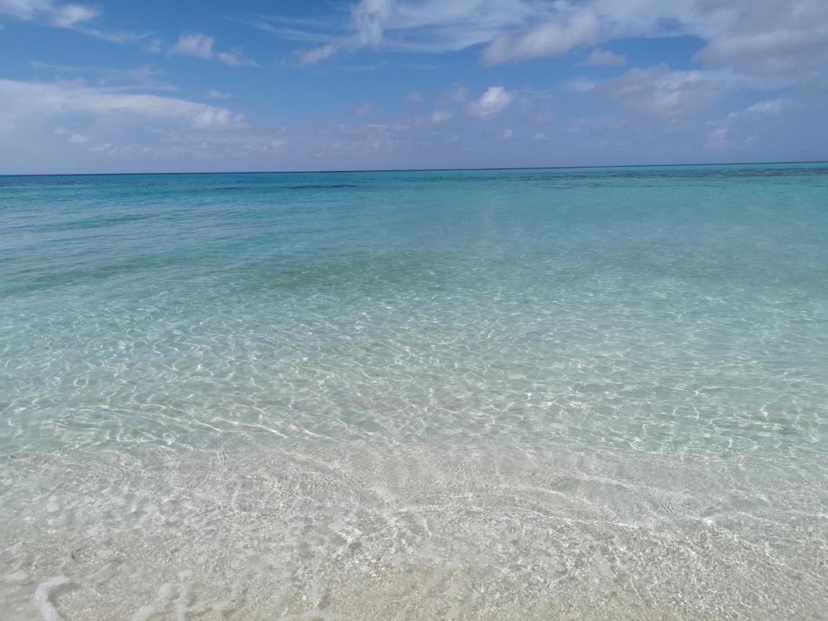 Hotel Aqua Oasis Thoddoo-Atoll Exterior foto